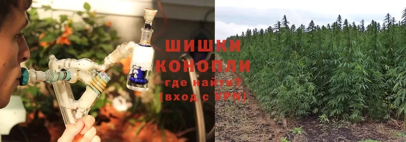 MEGA ТОР  Великие Луки  Марихуана OG Kush 